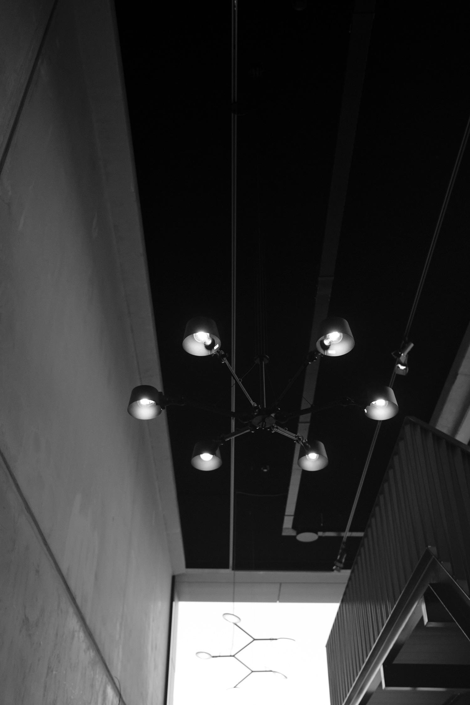 diversen_166©rinze_vegelien.jpg